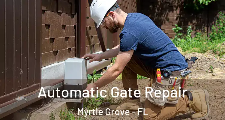  Automatic Gate Repair Myrtle Grove - FL