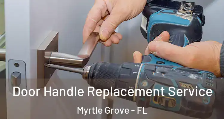  Door Handle Replacement Service Myrtle Grove - FL