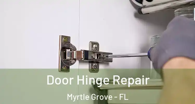  Door Hinge Repair Myrtle Grove - FL