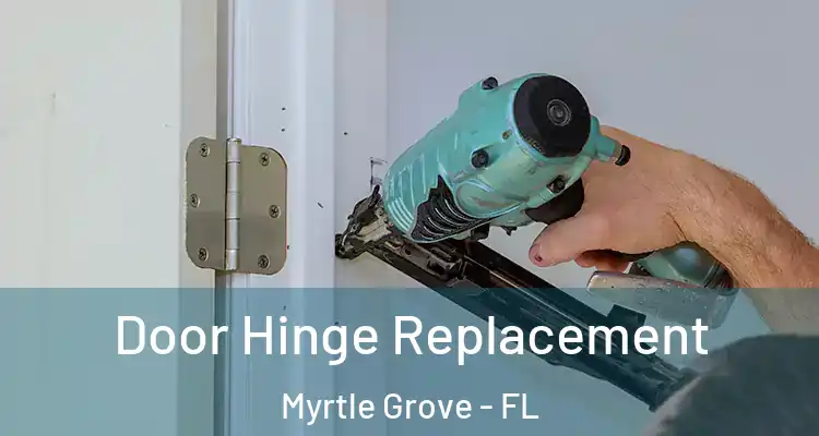  Door Hinge Replacement Myrtle Grove - FL