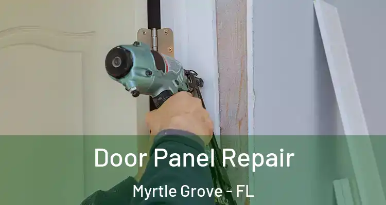  Door Panel Repair Myrtle Grove - FL