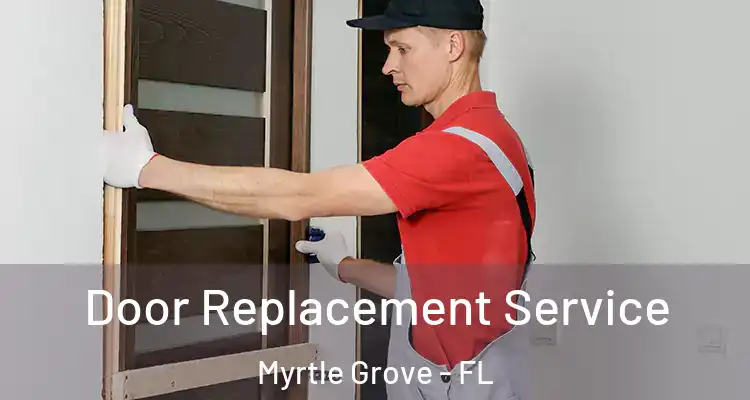  Door Replacement Service Myrtle Grove - FL