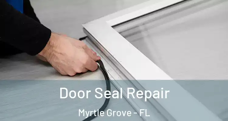  Door Seal Repair Myrtle Grove - FL