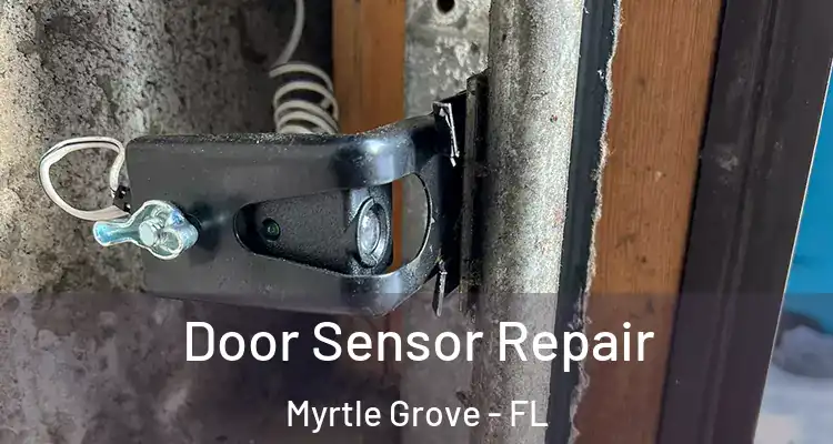  Door Sensor Repair Myrtle Grove - FL