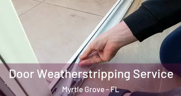  Door Weatherstripping Service Myrtle Grove - FL