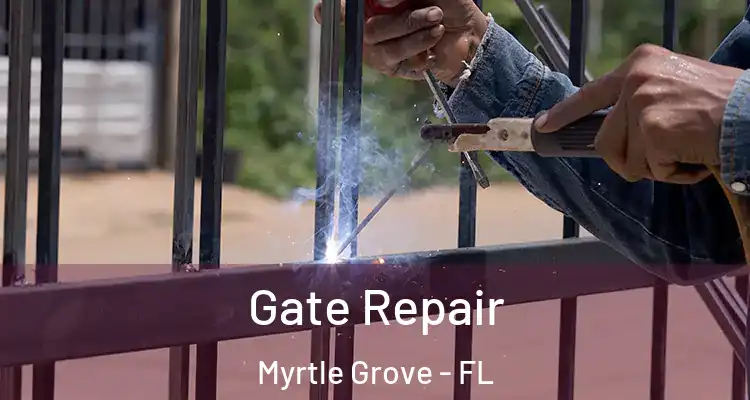  Gate Repair Myrtle Grove - FL