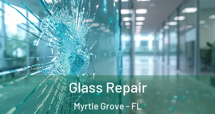  Glass Repair Myrtle Grove - FL