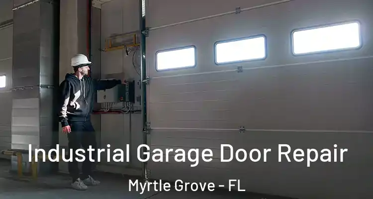  Industrial Garage Door Repair Myrtle Grove - FL