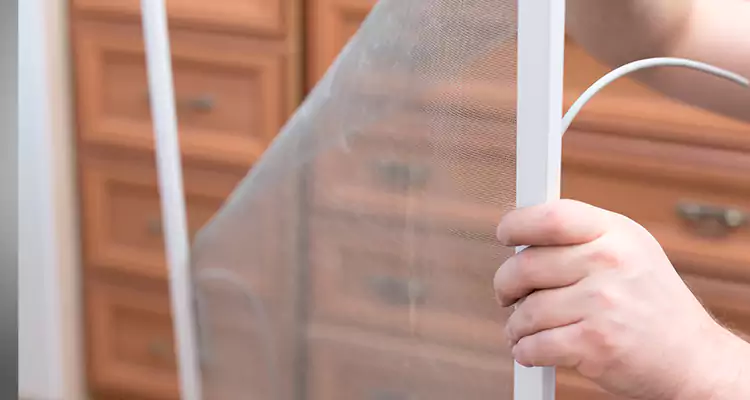 Privacy Mesh Screen Door Installation in Myrtle Grove, FL