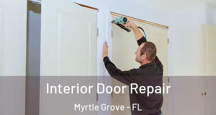  Interior Door Repair Myrtle Grove - FL
