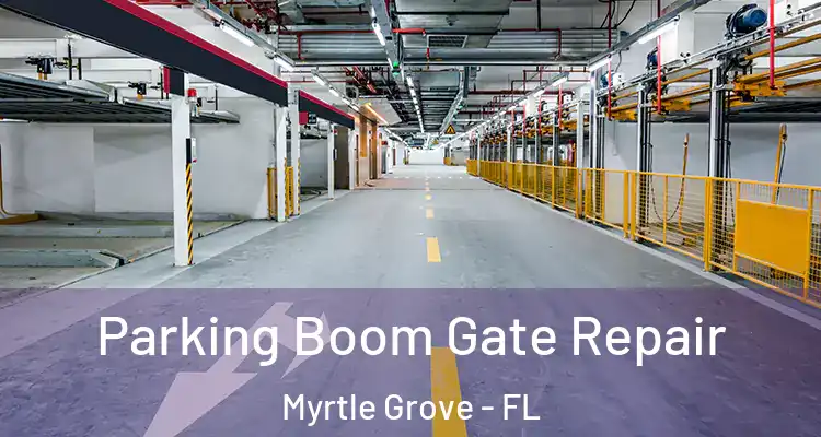  Parking Boom Gate Repair Myrtle Grove - FL