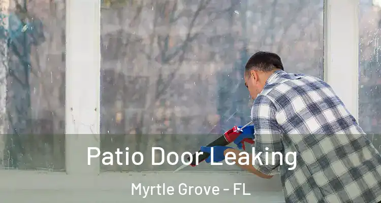  Patio Door Leaking Myrtle Grove - FL