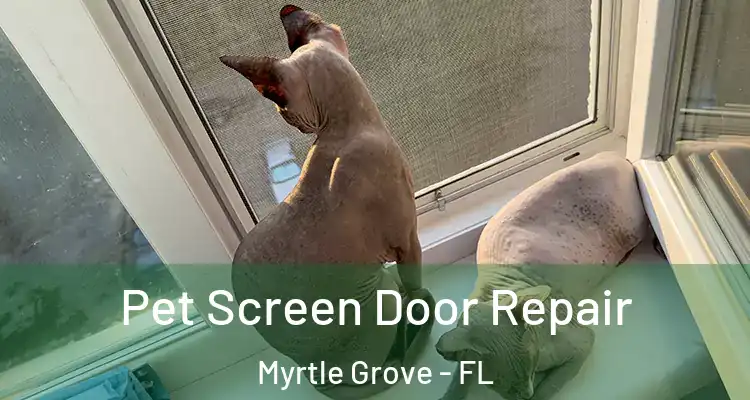  Pet Screen Door Repair Myrtle Grove - FL