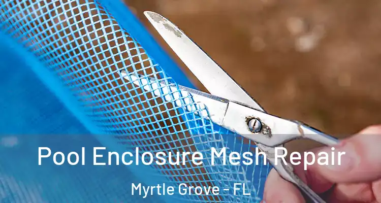  Pool Enclosure Mesh Repair Myrtle Grove - FL