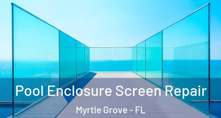  Pool Enclosure Screen Repair Myrtle Grove - FL
