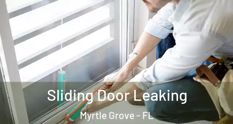  Sliding Door Leaking Myrtle Grove - FL