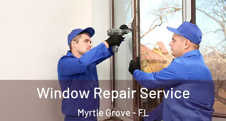  Window Repair Service Myrtle Grove - FL